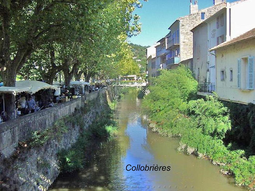 183 D37 LA LONDE DES MAURES ETR SES ENVIRONS_000058.jpg